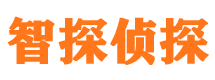 资阳区外遇出轨调查取证